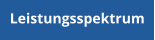Leistungsspektrum